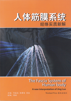 人体筋膜系统