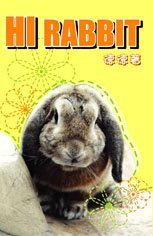 《Hi Rabbit》