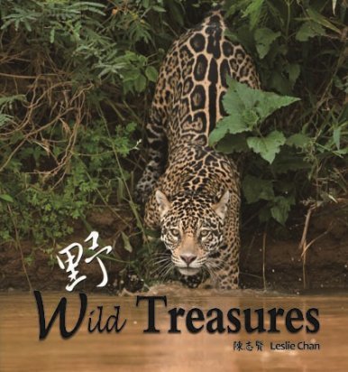 《野 Wild Treasure》